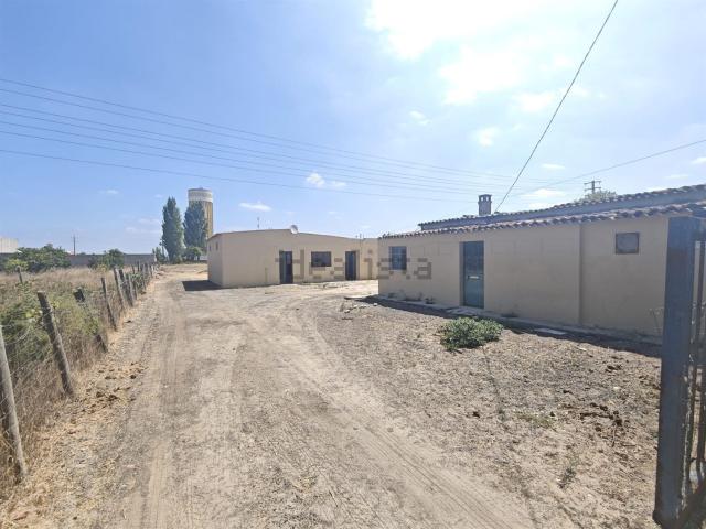 Moradia, Foros de Salvaterra