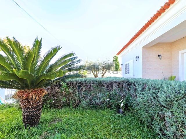 Moradia, Samora Correia