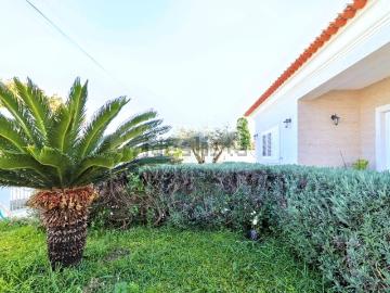 Porto Alto, Samora Correia, Concelho de Benavente, Distrito de Santarém