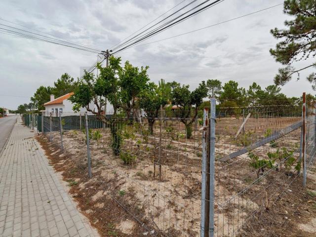 Moradia, Santo André Santiago do Cacém