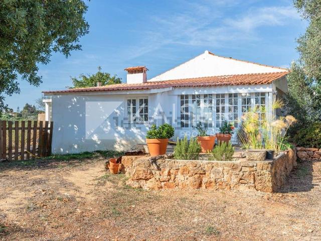 Moradia, Silves