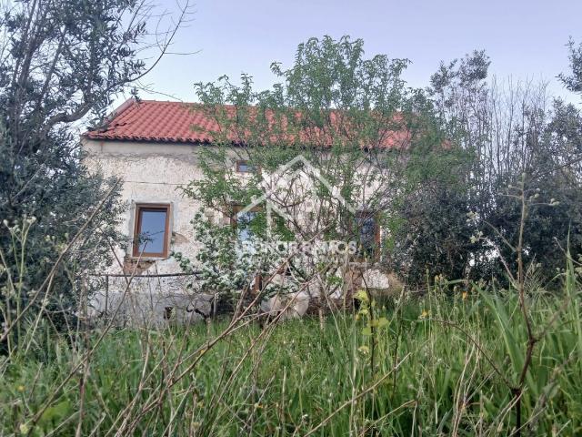Moradia, Sobreira Formosa e Alvito da Beira