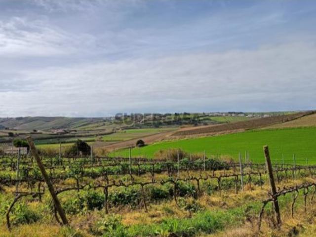 Moradia T4 Nova com vista deslumbrante de campo, a minutos de Torres Vedras