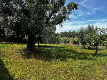 Moradia T4 à venda em Vila de Rei