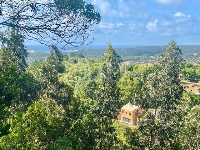 Moradia T4 com terraço e vistas em Colares Sintra 0m² Colares