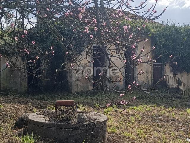 Moradia T4 com terreno de 1.450 m2, Oliveira de Azeméis