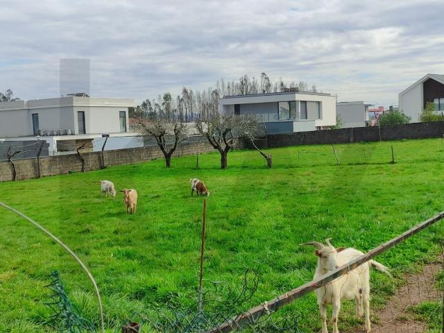 Moradia T4 com Área de Sequeiro, Garagem e Jardim e com quatro Lotes de Terreno de Construção