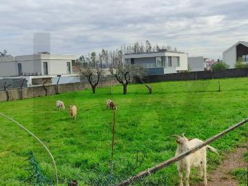 Moradia T4 com Área de Sequeiro, Garagem e Jardim e com quatro Lotes de Terreno de Construção