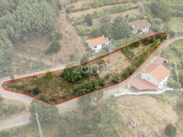 Moradia T4 com dois terrenos e pomar variado, Santa Marinha do Zêzere