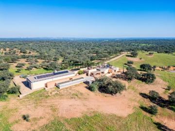 Salvada e Quintos, Beja, Distrito de Beja