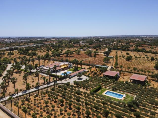 Moradia T4 com piscina e jardins