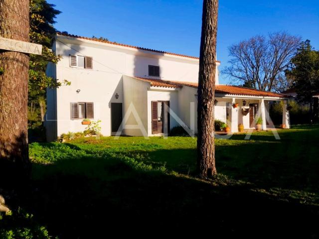 Moradia T4 com piscina em Castelo Sesimbra 2.236 m² de terreno | Oportunidade Única