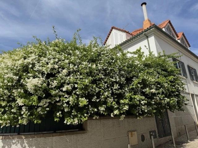 Moradia T4 Duplex para alugar em Cascais