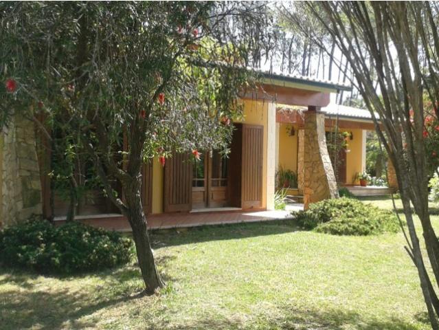 Moradia T4 de Luxo com Piscina e Jardim Exuberante | Barracão Cantanhede