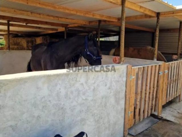 Moradia T4 em Bombarral e Vale Covo