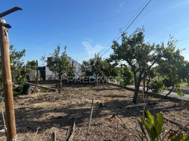 Moradia T4 em Cidade de Santarém