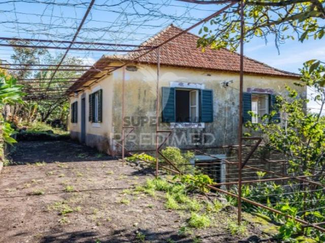 Moradia T4 em Gaula