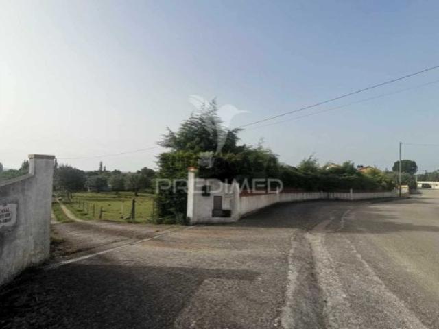 Moradia T4 em Paialvo