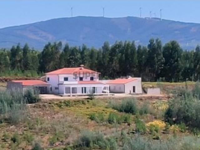 Moradia T4 em Pedrógão Grande