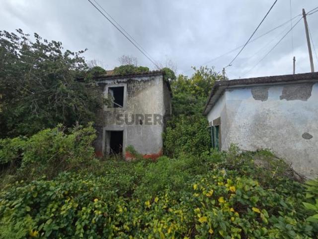 Moradia T4 em ruinas com 3325m2 terreno, 2 palheiros para restaurar