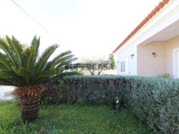 Porto Alto, Samora Correia, Concelho de Benavente, Distrito de Santarém