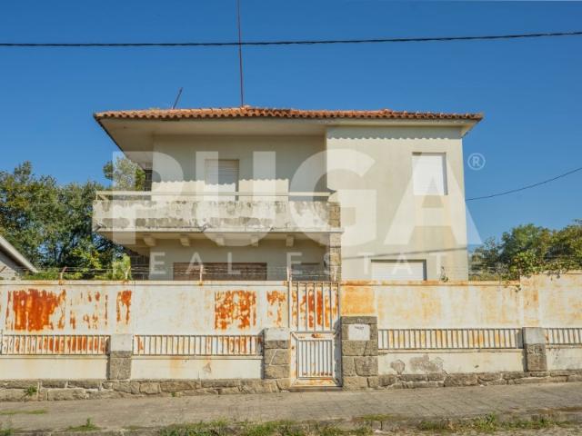 Moradia T4 para Reabilitar em Francelos | 900 m² | 4 Frentes