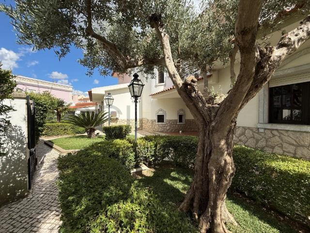 Moradia T5+2 | Cruz de Pau | Piscina | Cave 325m² Amora