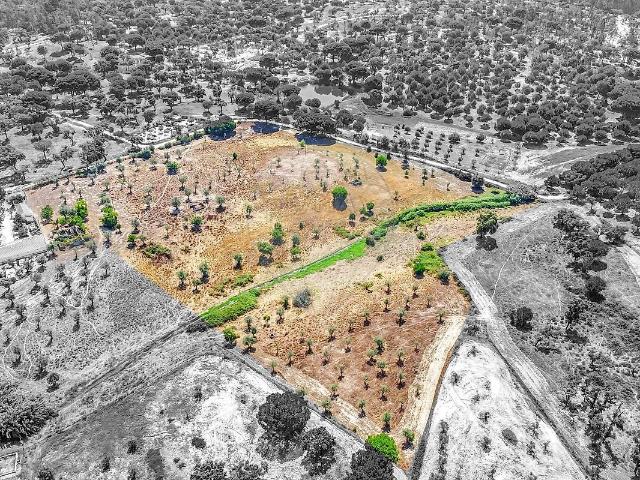 Moradia T5 à venda em Cortiçadas de Lavre e Lavre, Montemor o Novo RE/MAX Portugal