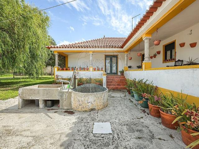 Moradia T5 à venda em Monte, Murtosa RE/MAX Portugal
