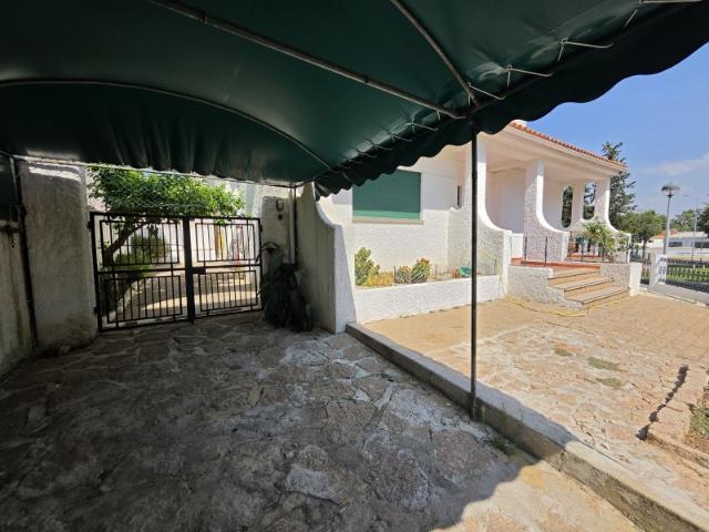 Moradia T5 com Garagem e Jardim | Centro de Elvas