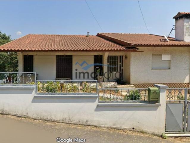 Moradia T6 em Palmaz