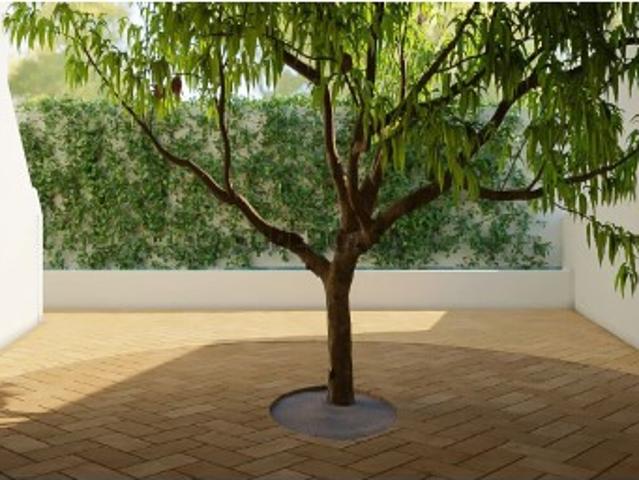 Moradia T6 em São Salvador da Aramenha