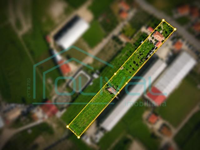 EXCELENTE QUINTA T6 HABITAÇÃO e ATIVIDADE ECONOMICA