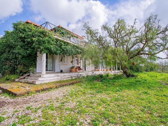 Moradia T7 à venda em Igreja Nova e Cheleiros, Mafra RE/MAX Portugal