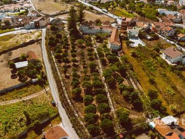 Moradia =T10 Venda em Guia, Ilha e Mata Mourisca,Pombal 1658m² Guia, Ilha e Mata Mourisca
