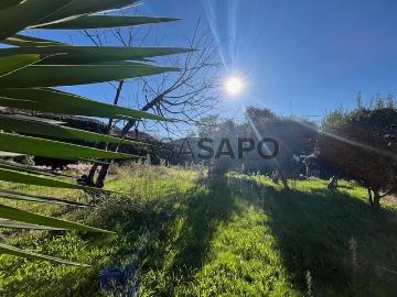 Oliveira do Castelo - Jardim