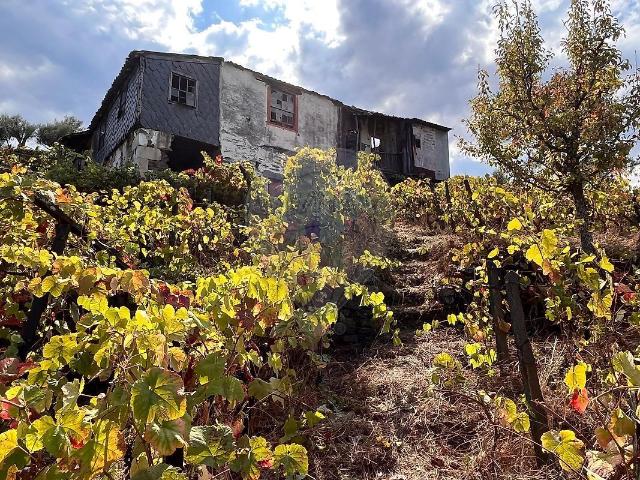 Moradia T1 à venda em Cambres, Lamego RE/MAX Portugal
