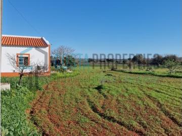 Moradia T1 com terreno de 6.200 m² em Odiáxere, Lagos O refúgio perfeito entre o campo e o mar
