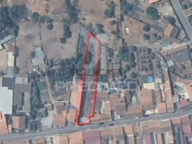 Moradia T1 em Alpiarça