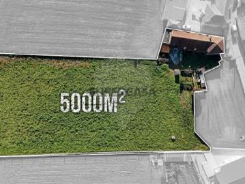 Stª Maria Avioso, Castêlo da Maia, Maia, Distrito de Porto