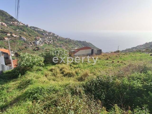 Moradia T1 em ruína para recuperar no Campanario, Madeira
