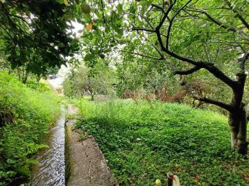 Nogueira Meixedo e Vilar de Murteda, Viana do Castelo, Distrito de Viana do Castelo