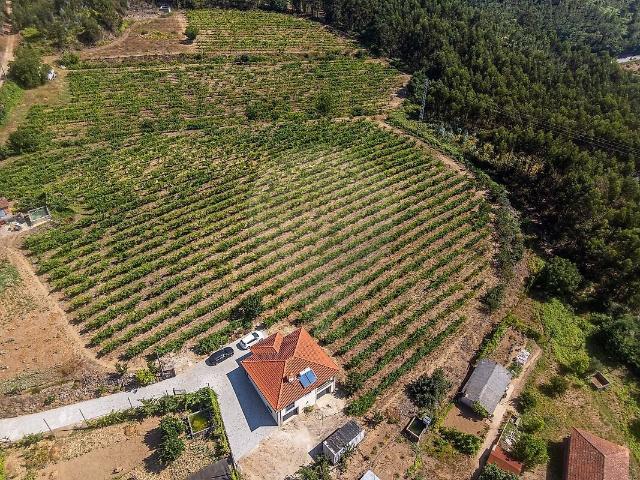 Moradia T2 à venda em Canedo de Basto e Corgo, Celorico de Basto RE/MAX Portugal