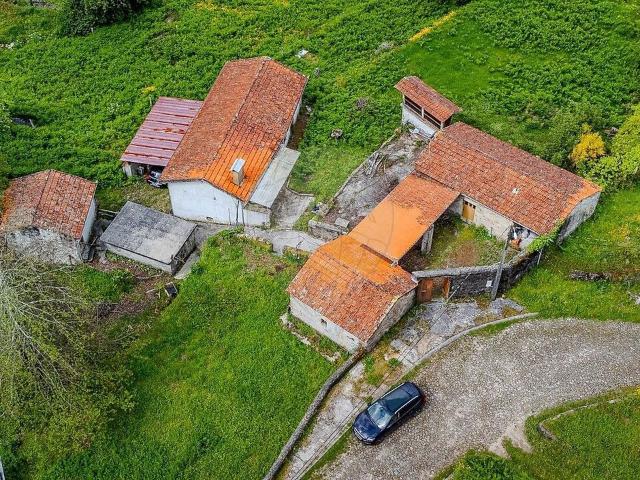 Moradia T2 à venda em Carregosa, Oliveira de Azeméis RE/MAX Portugal