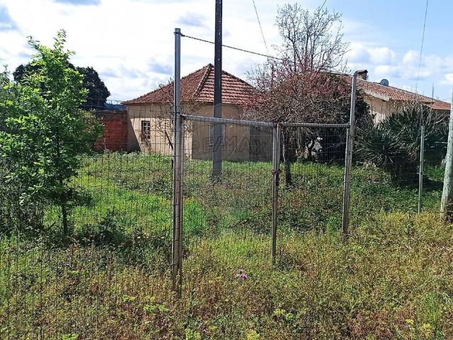 Moradia T2 à venda em Avelãs de Cima, Anadia RE/MAX Portugal