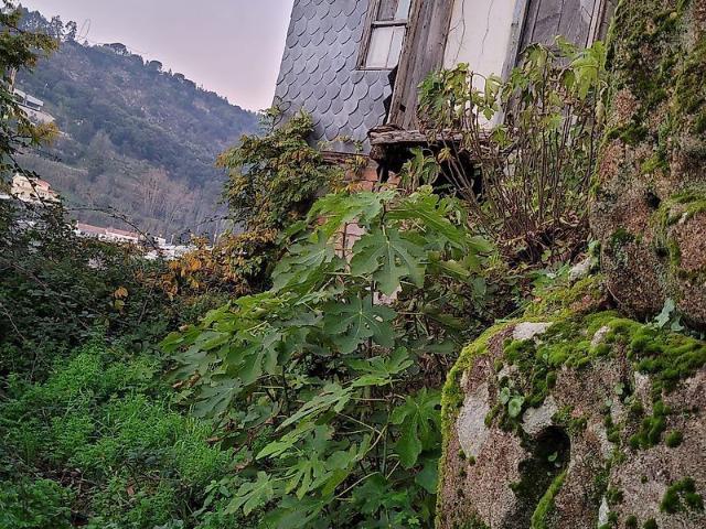 Moradia T2 à venda em Oliveira, Cinfães RE/MAX Portugal