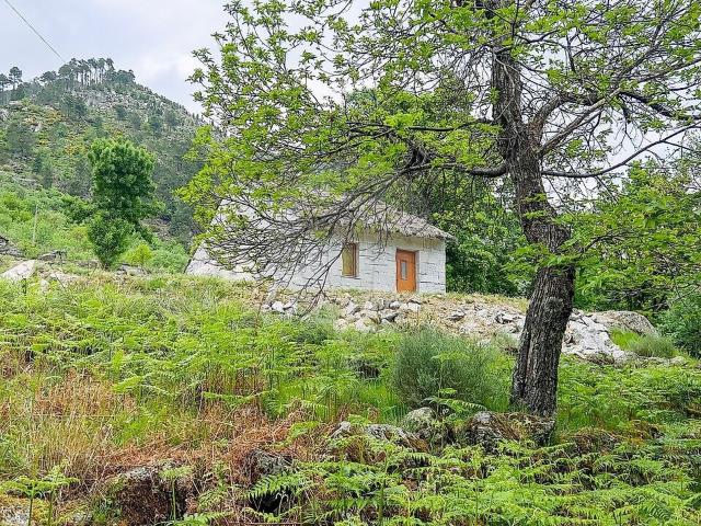 Moradia T2 à venda em São Pedro, Manteigas RE/MAX Portugal