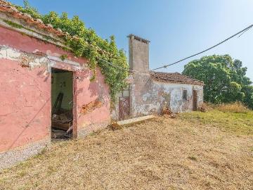 Moradia T2 e adega com logradouro, em lote total de 1.492 m2. 199m² Miragaia e marteleira
