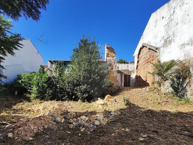 Moradia T2 à venda em Torres Novas São Pedro, Lapas e Ribeira Branca, Torres Novas RE/MAX Portugal