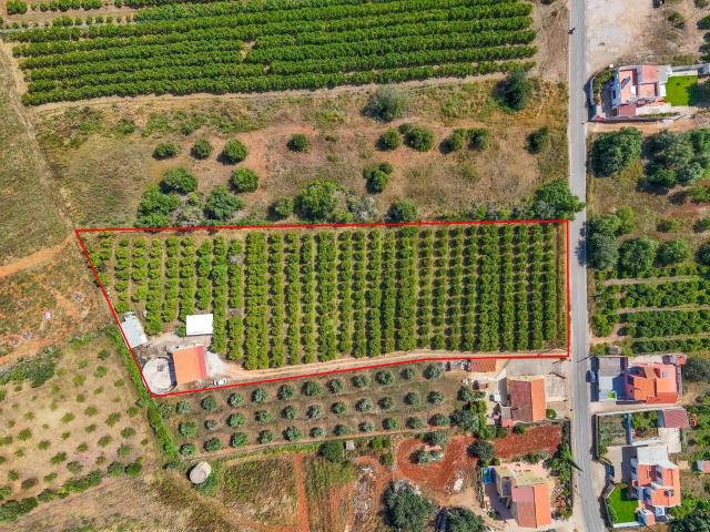 Moradia T2 com 7200 m2 de Terreno